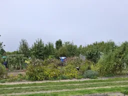 Openbare fotoalbums &raquo; Tuinimpressie september